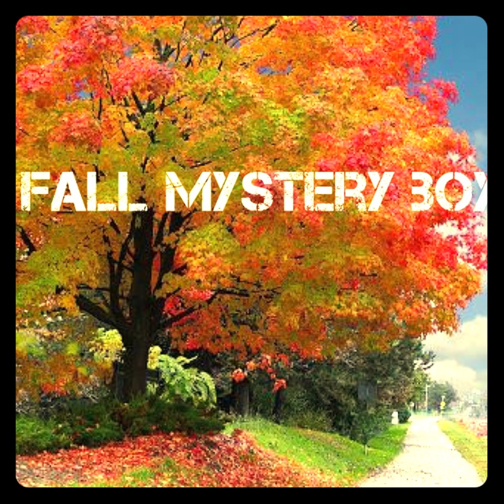Fall Mystery Box